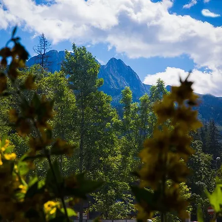 Kwatera Glowna Affittacamere *